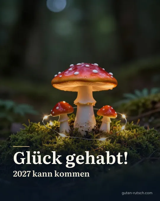 Fliegenpilz-Dekoration im Moos mit kleinen Lichtern, darauf der Gruß „Glück gehabt! 2027 kann kommen“