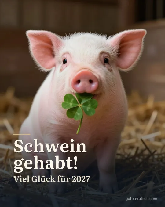 Ferkel mit einem Kleeblatt im Maul im Stroh, darauf der Gruß „Schwein gehabt! Viel Glück für 2027“