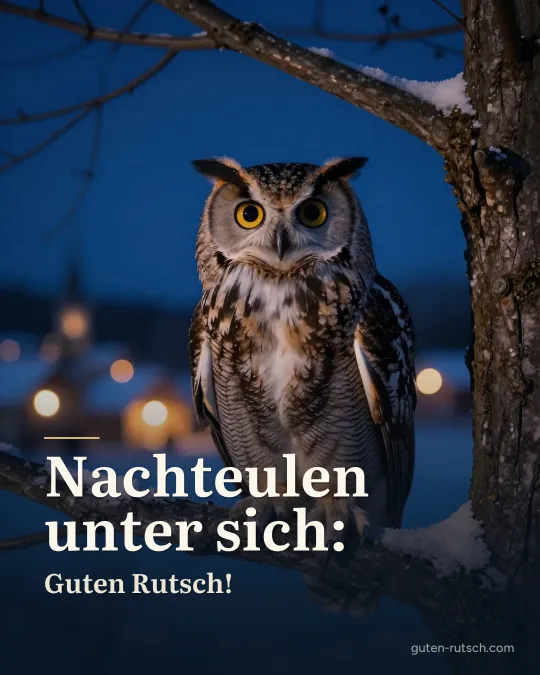 Eule sitzt nachts in einem verschneiten Baum vor Lichtern, darauf der Gruß „Nachteulen unter sich: Guten Rutsch!“