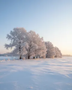 Sonnenaufgang über einem verschneiten Feld am Neujahrsmorgen
